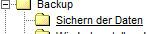 Sichernderdaten2.png